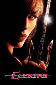 อีเล็คตร้า สวยสังหาร Elektra (2005)