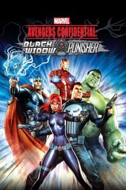 ขบวนการ อเวนเจอร์ส : แบล็ควิโดว์ กับ พันนิชเชอร์ Avengers Confidential: Black Widow & Punisher (2014)