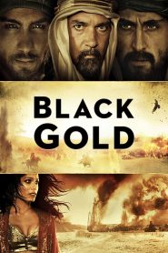 ล่าขุมทองดับตะวัน Black Gold (2011)
