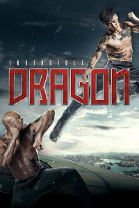 หมัดเหล็กล่าฆาตกร The Invincible Dragon (2019)