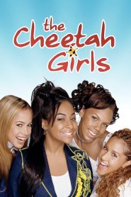 สาวชีต้าห์ หัวใจดนตรี The Cheetah Girls (2003)