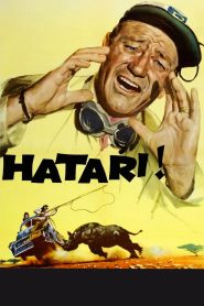 ฮาตาริ! Hatari! (1962)