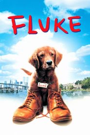 เกิดใหม่กลายเป็นหมา Fluke (1995)