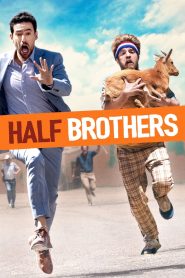 ครึ่งพี่ครึ่งน้อง Half Brothers (2020)