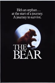 หมีเพื่อนเดอะ The Bear (1988)