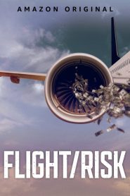 เที่ยวบินมหาภัย Flight/Risk (2022)