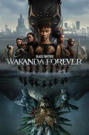 แบล็ค แพนเธอร์: วาคานด้าจงเจริญ Black Panther: Wakanda Forever (2022)