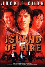 ใหญ่ฟัดใหญ่ Island of Fire (1990)
