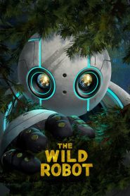 หุ่นยนต์ผจญภัยในป่ากว้าง The Wild Robot (2024)