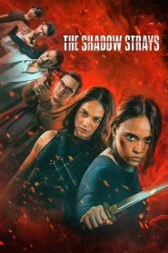 นักฆ่าเงาล่าทรชน The Shadow Strays (2024)